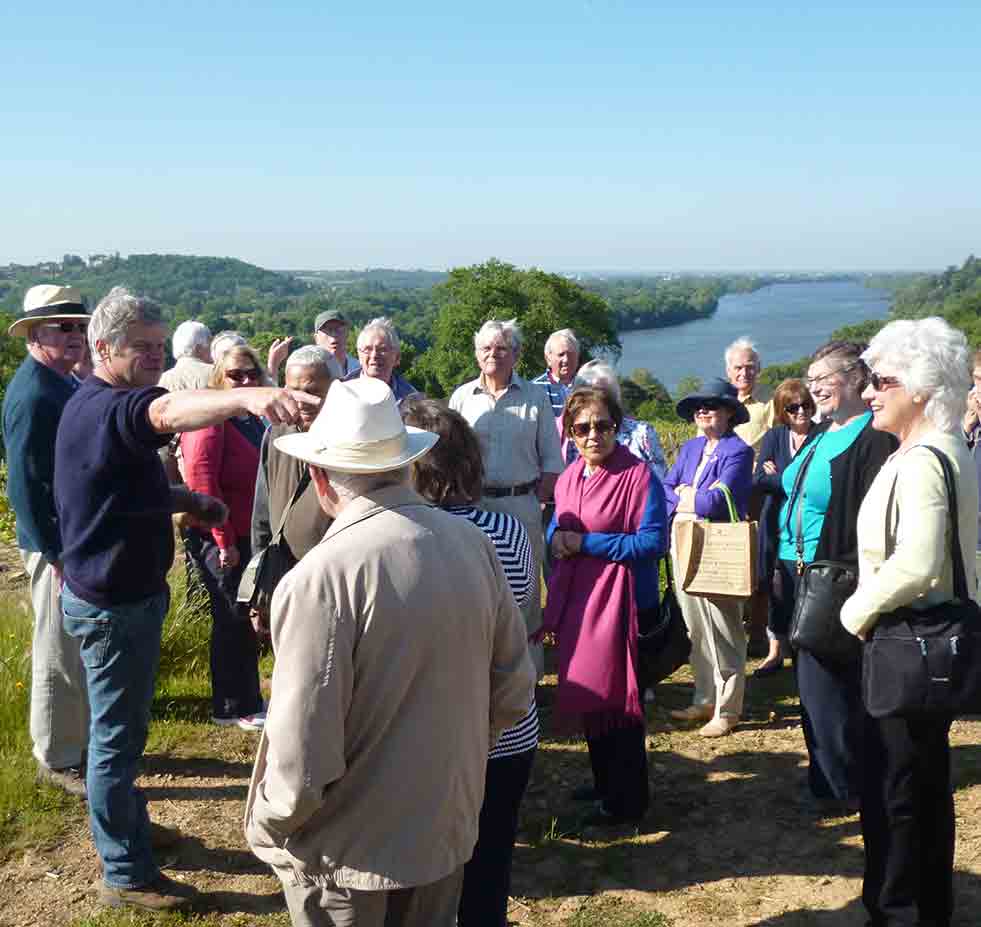 sacavin-loire-tour